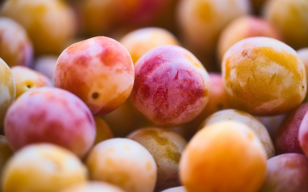 Transformasi Digital di Layanan Imigrasi Payakumbuh